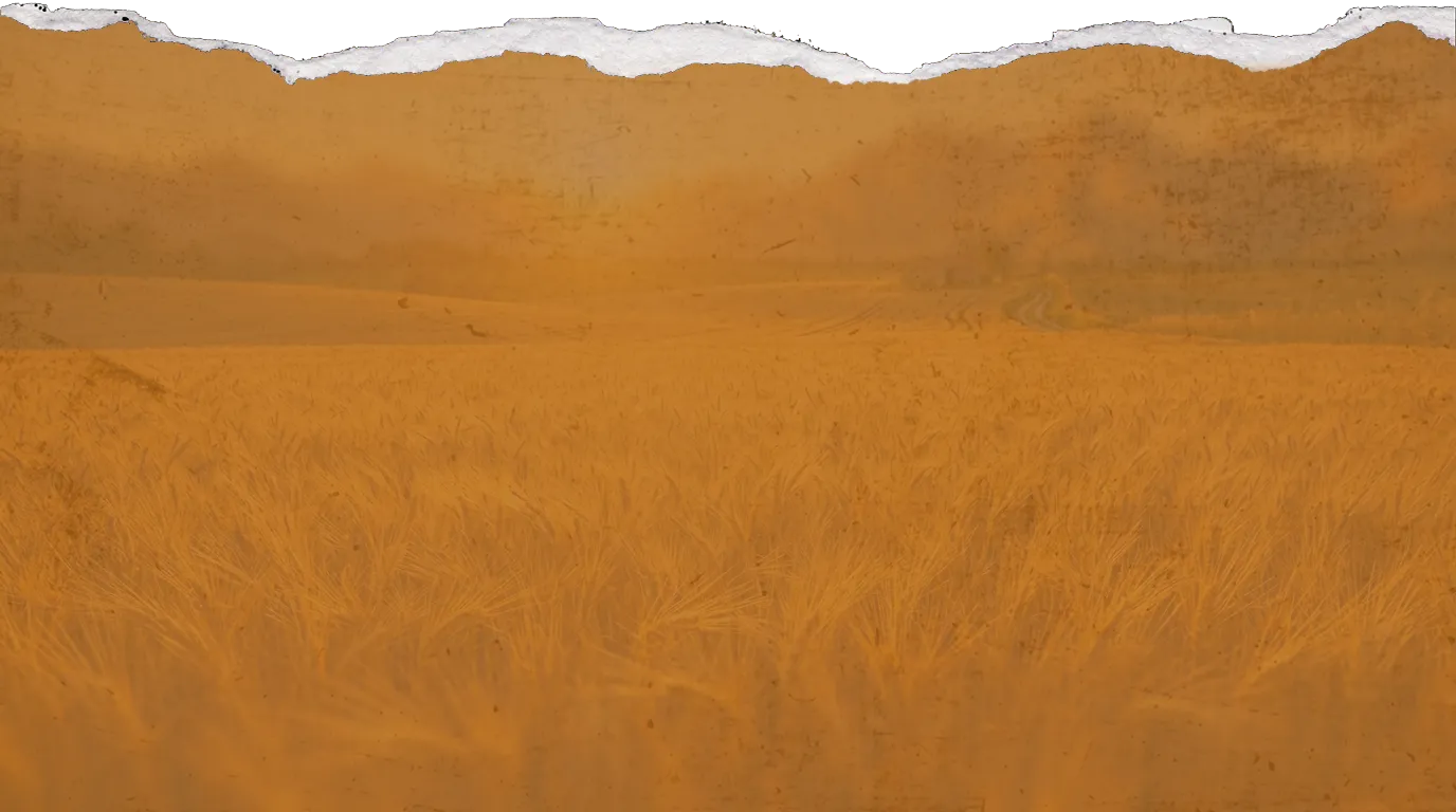 Malto d'orzo lucano per Birra Lucana